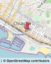 Tela Chiavari,16043Genova