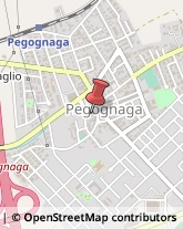 Pozzi Neri Pegognaga,46020Mantova