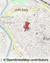 Cappelli per Signora Forlì,47121Forlì-Cesena