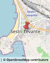 Pelli per Abbigliamento Sestri Levante,16039Genova