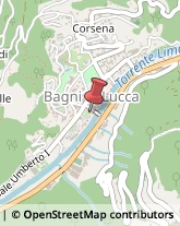 ,55022Lucca