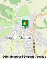 Aziende Agricole Gaggio Montano,40041Bologna