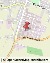 Maglieria - Dettaglio San Giovanni in Persiceto,40017Bologna