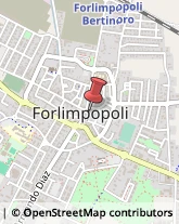 Comuni e Servizi Comunali Forlimpopoli,47034Forlì-Cesena