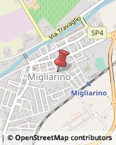 Autotrasporti Migliarino,44027Ferrara