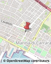 Spedizionieri Doganali Carrara,54033Massa-Carrara