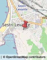 Imprese Edili,16039Genova