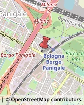 Trasmissioni e Supporti Bologna,40132Bologna