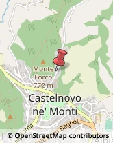 Pediatri - Medici Specialisti Castelnovo Ne' Monti,42035Reggio nell'Emilia