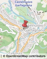 Pelletterie - Ingrosso e Produzione Castelnuovo di Garfagnana,55032Lucca