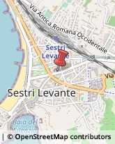 Paste Alimentari - Dettaglio Sestri Levante,16039Genova