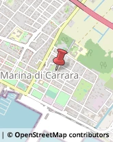 Agenzie di Vigilanza e Sorveglianza,54033Massa-Carrara