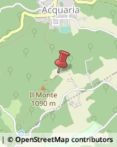 Aziende Agricole Montecreto,41026Modena