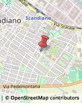 Grissini Scandiano,42019Reggio nell'Emilia