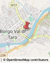 Agenzie di Vigilanza e Sorveglianza Borgo Val di Taro,43043Parma