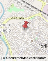 Imprese Edili Forlì,47100Forlì-Cesena