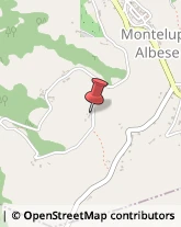 Agriturismi Montelupo Albese,12050Cuneo