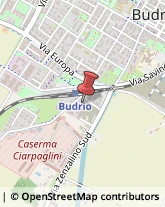 Legname da Costruzione Budrio,40054Bologna