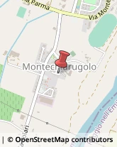 Calzature - Dettaglio Montechiarugolo,43022Parma
