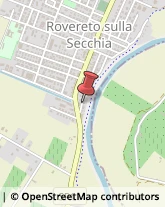 Ortofrutticoltura Novi di Modena,41016Modena