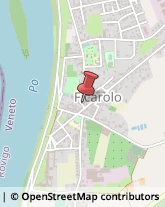 Istituti di Bellezza Ficarolo,45036Rovigo