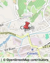 Autotrasporti Canelli,14053Asti