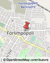 Agenzie Investigative Forlimpopoli,47034Forlì-Cesena