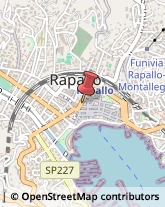 Profumi - Produzione e Commercio Rapallo,16035Genova