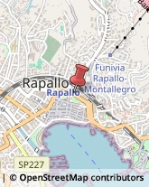 Pelliccerie Rapallo,16035Genova