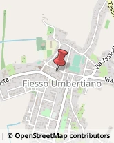 Pelli per Pellicceria Fiesso Umbertiano,45024Rovigo