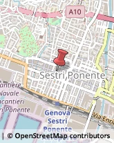 Pasticcerie - Dettaglio,16154Genova