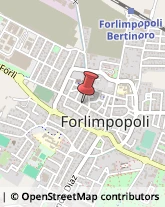 Macellerie Forlimpopoli,47034Forlì-Cesena