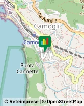 Pneumatici - Commercio Camogli,16032Genova