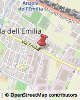 Bulbi e Sementi Anzola dell'Emilia,40056Bologna