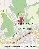 Angiologia - Medici Specialisti Castelnovo Ne' Monti,42035Reggio nell'Emilia