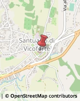 Ricerca Scientifica - Istituti Vicoforte,12080Cuneo