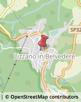 Scuole Pubbliche Lizzano in Belvedere,40042Bologna