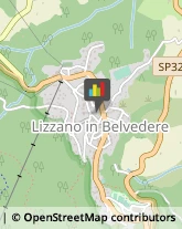 Scuole Pubbliche Lizzano in Belvedere,40042Bologna