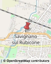 Assicurazioni Savignano sul Rubicone,47039Forlì-Cesena