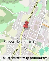 Pesce - Lavorazione e Commercio Sasso Marconi,40037Bologna