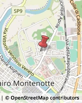 Aziende Agricole Cairo Montenotte,17014Savona