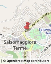 Pelliccerie Salsomaggiore Terme,43039Parma