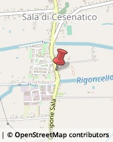 Avvocati Cesenatico,47042Forlì-Cesena