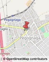 Agopuntura Pegognaga,46020Mantova