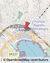 Comuni e Servizi Comunali Rapallo,16035Genova