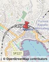 Articoli Sportivi - Dettaglio Rapallo,16035Genova