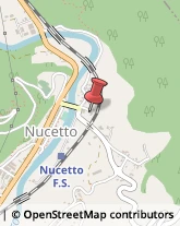 Assicurazioni Nucetto,12070Cuneo