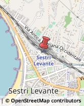 ,16039Genova