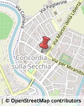 Medicali Articoli - Commercio Concordia sulla Secchia,41033Modena