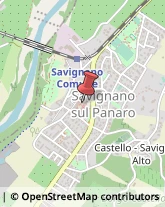 Erboristerie Savignano sul Panaro,41056Modena